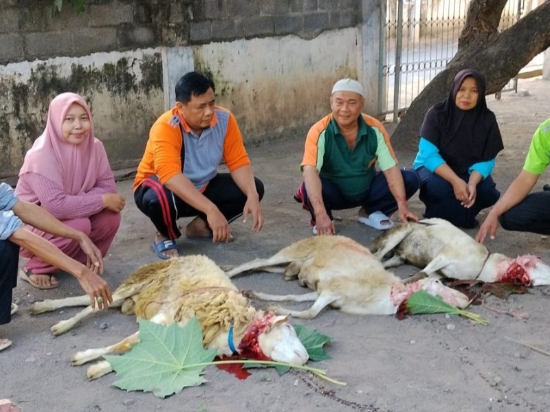 Penyembelihan Hewan Qurban